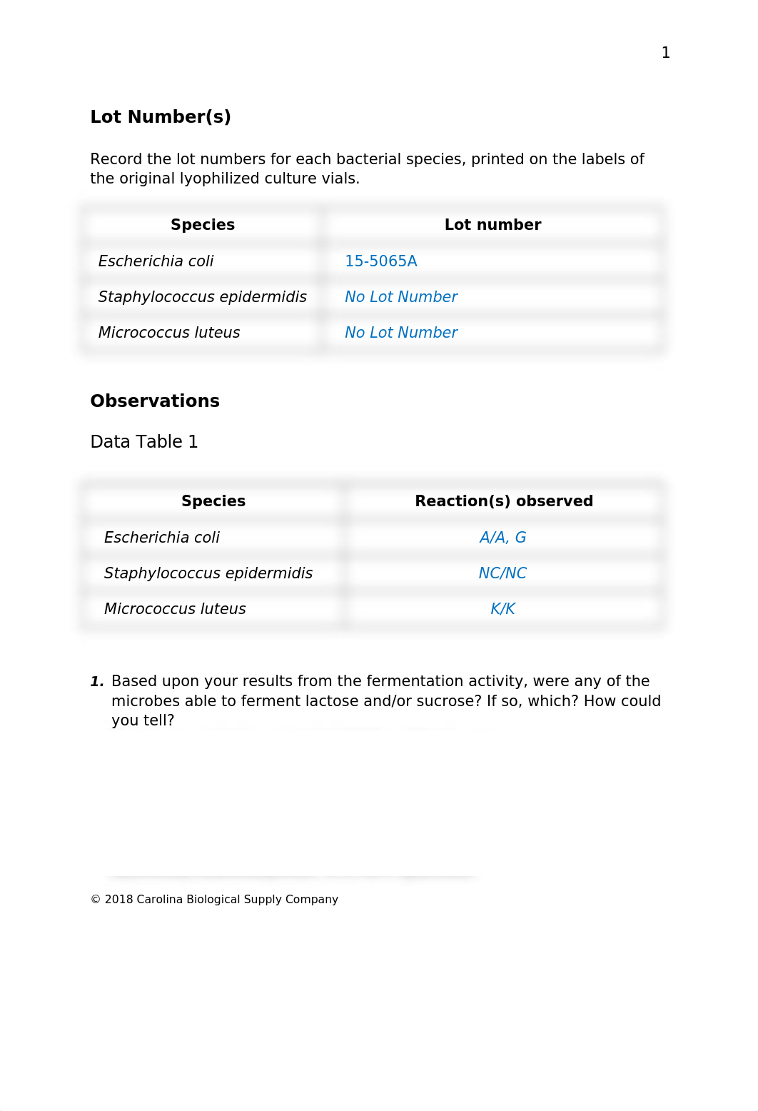 Bio 275 Biochemical Testing Lab.doc.docx_dm2hbbfp986_page2