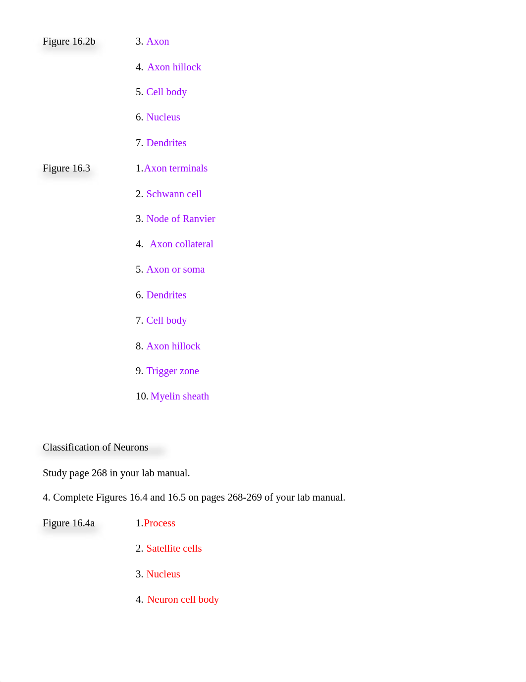 Lab 8 Nervous System.pdf_dm2jeay0d7x_page2