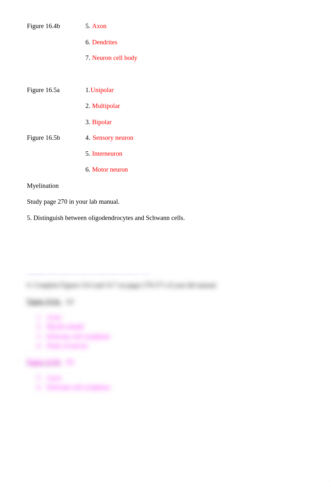 Lab 8 Nervous System.pdf_dm2jeay0d7x_page3