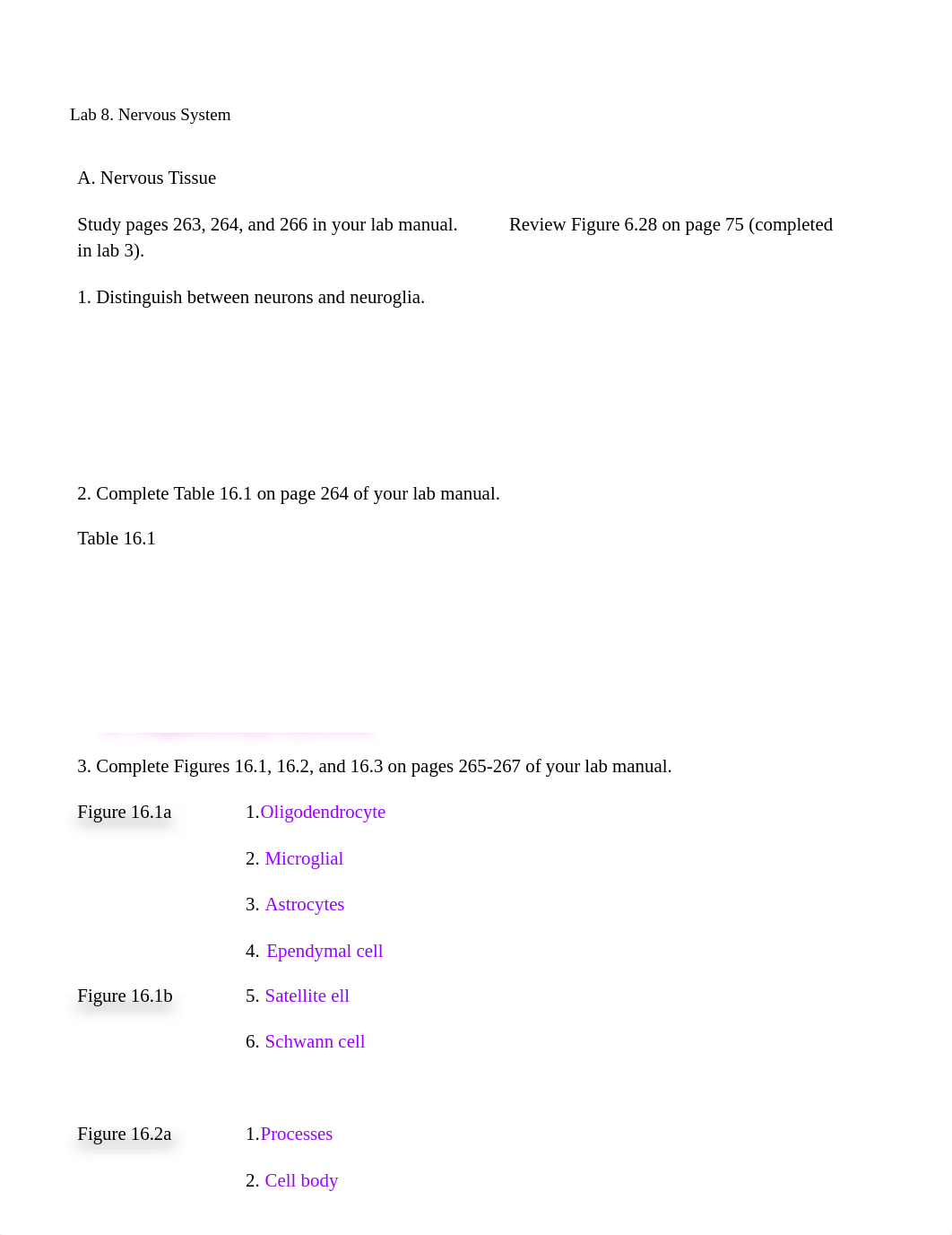 Lab 8 Nervous System.pdf_dm2jeay0d7x_page1