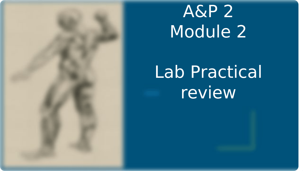 Mod 2 Lab Pract Rev.3.18.20.pptx_dm2n3v57wot_page1