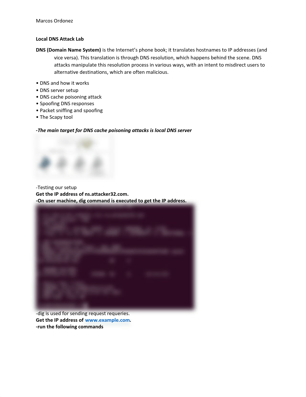 Local DNS Attack Lab.pdf_dm2op0gnqlo_page1