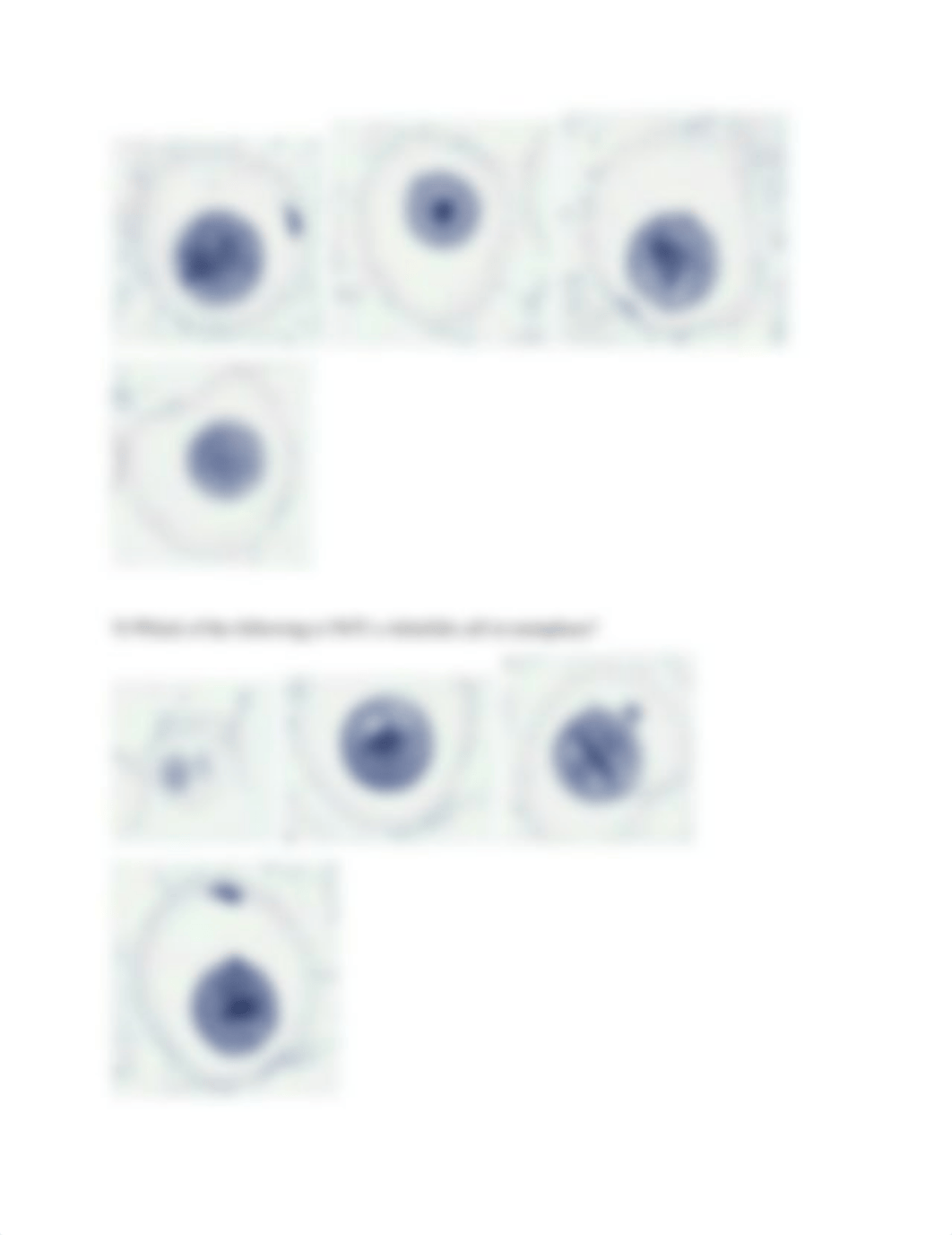 Unit 4 Lab Mitosis and Meiosis Part 1.docx_dm2usvybv9s_page3