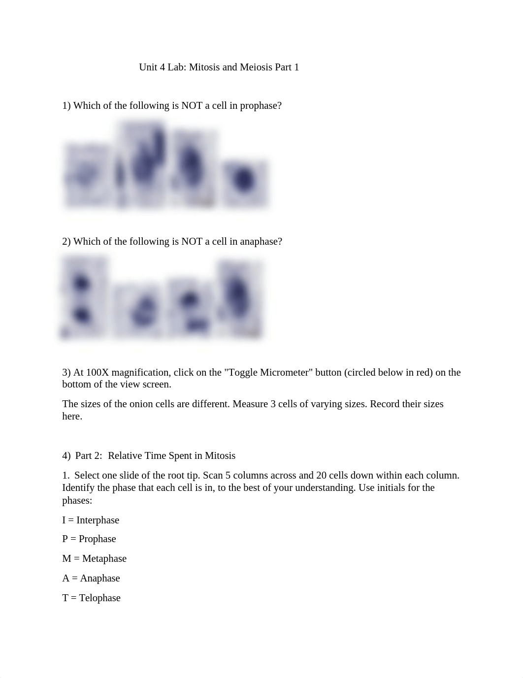 Unit 4 Lab Mitosis and Meiosis Part 1.docx_dm2usvybv9s_page1