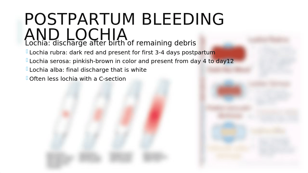 VNSG 1230 Unit 5 Postpartum Lecture (1).pptx_dm2wdmj4lbg_page4