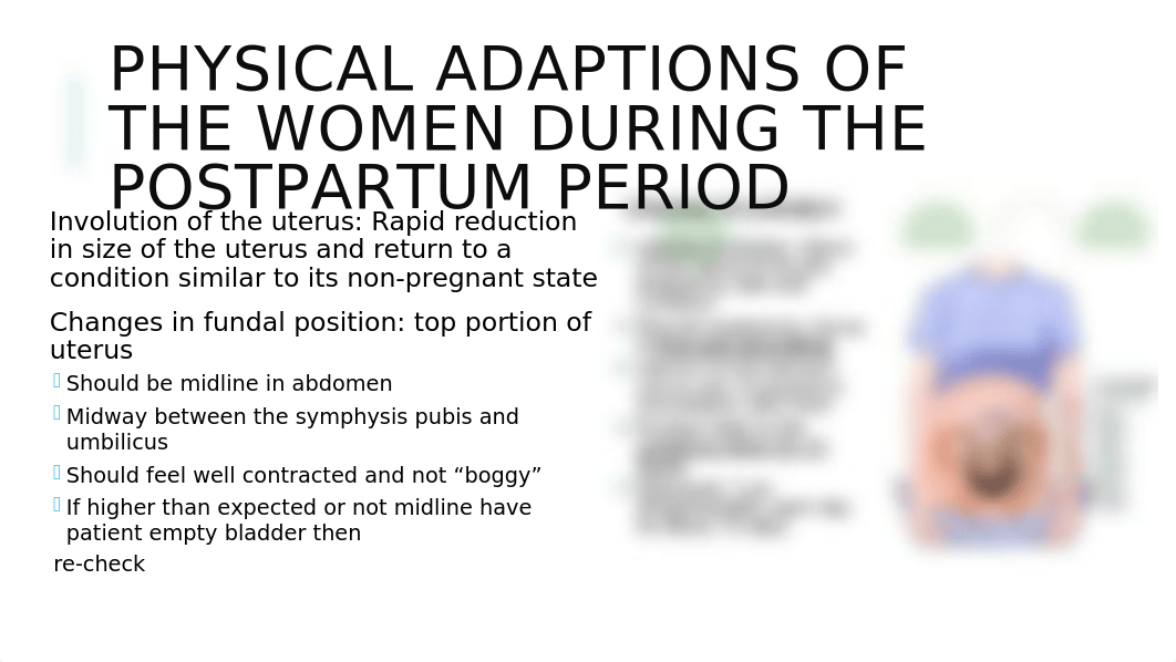 VNSG 1230 Unit 5 Postpartum Lecture (1).pptx_dm2wdmj4lbg_page5