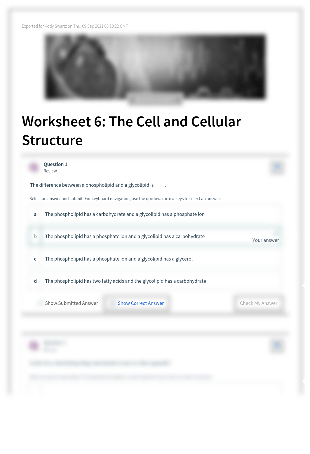 CH6 manual worksheet.pdf_dm2wiq4vzg1_page1