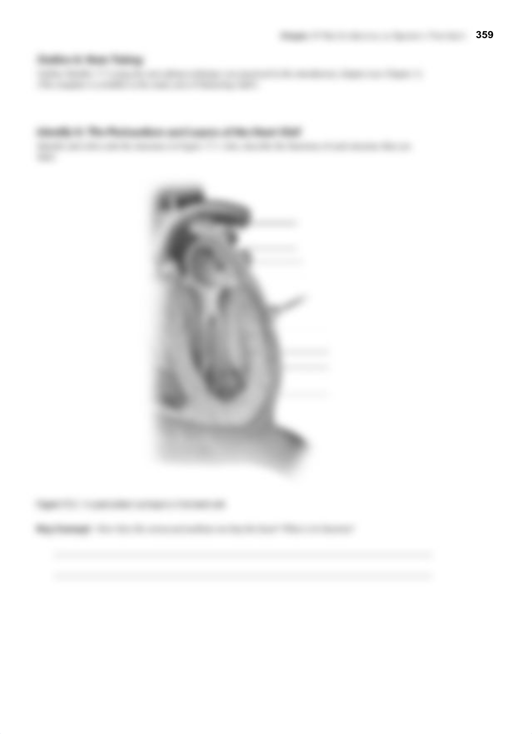 Chapter 17 Cardiovascular System I WS.pdf_dm2znmvmhzw_page5