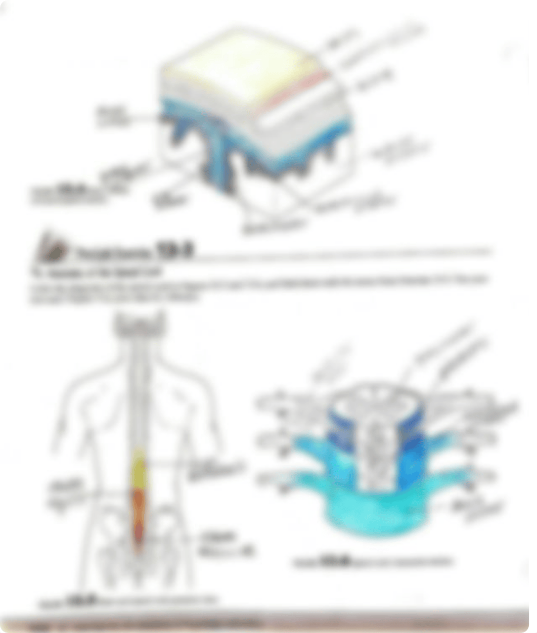 central nervous system lab.pdf_dm329a5ujl0_page4