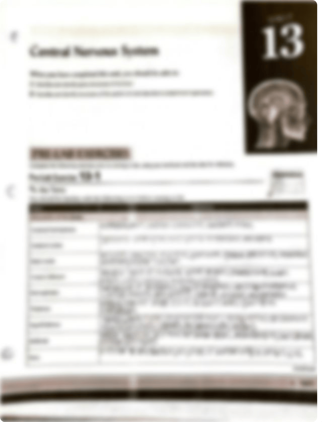 central nervous system lab.pdf_dm329a5ujl0_page1