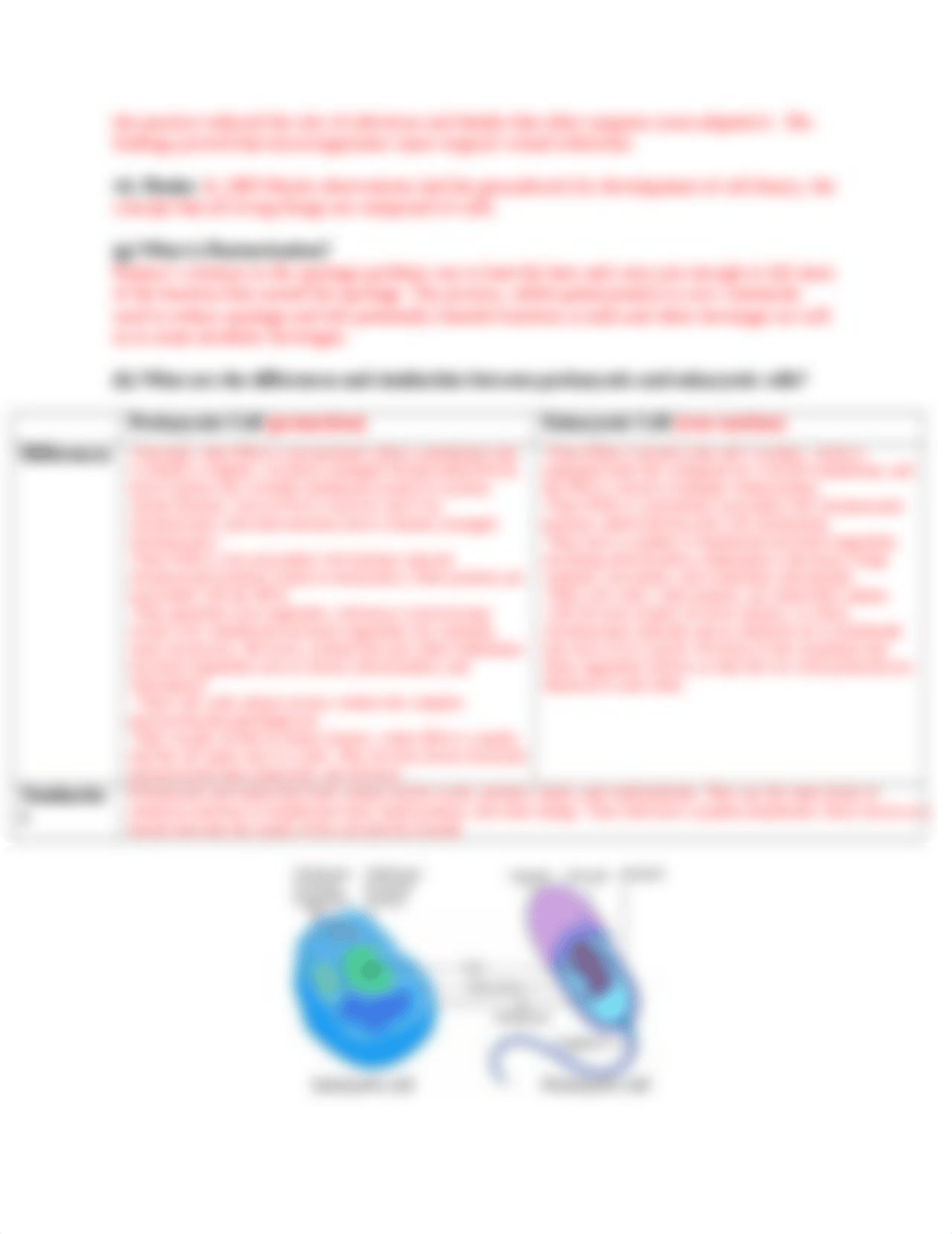 Microbiology M01 Study Guide for Midterm 1.docx_dm33xqlxklw_page3