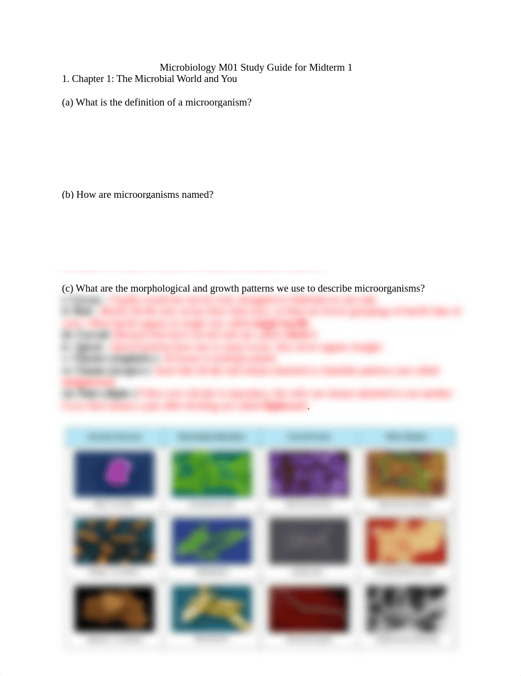 Microbiology M01 Study Guide for Midterm 1.docx_dm33xqlxklw_page1