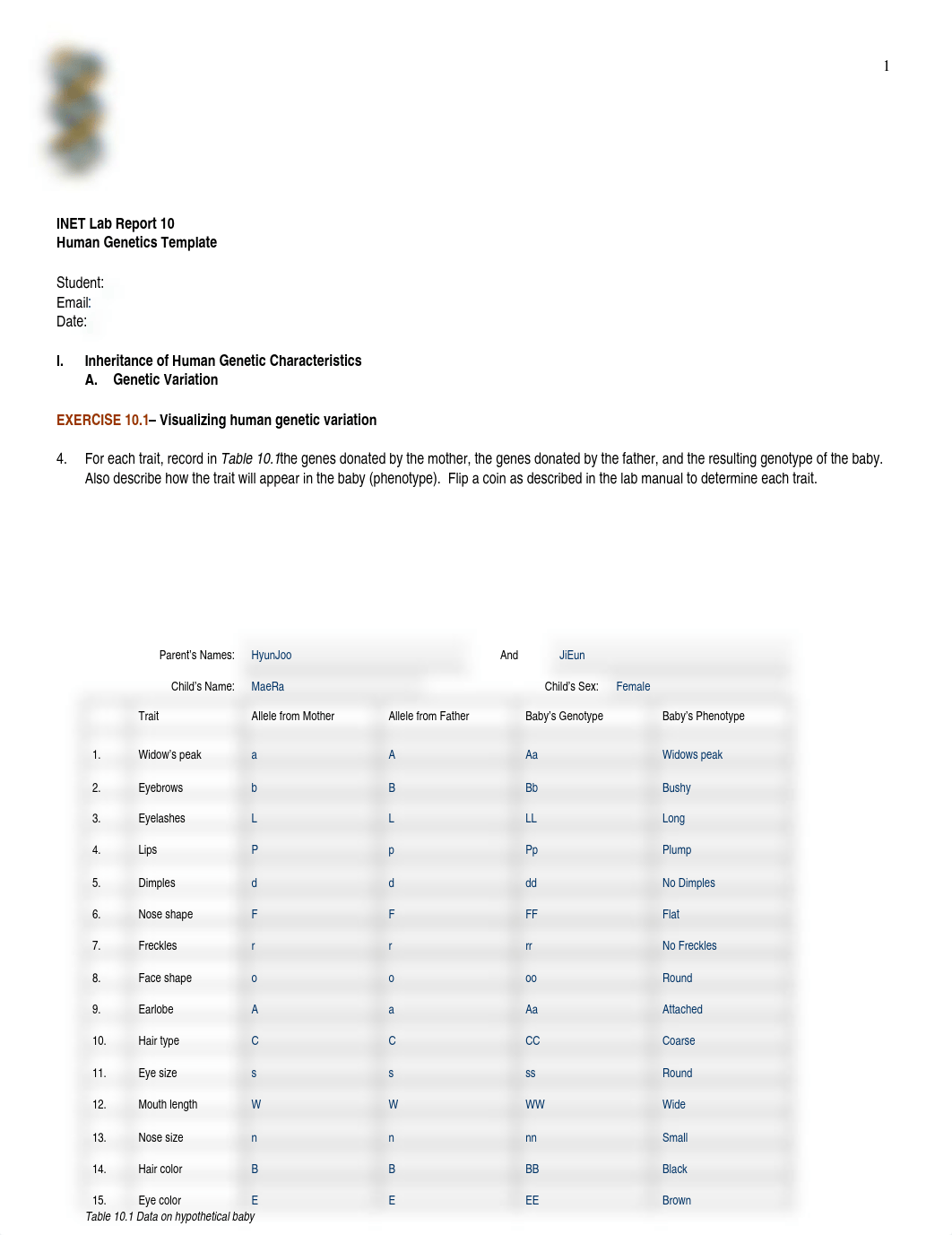 LAB REPORT 10-Human_Genetics (2)_dm3boiatmfk_page1