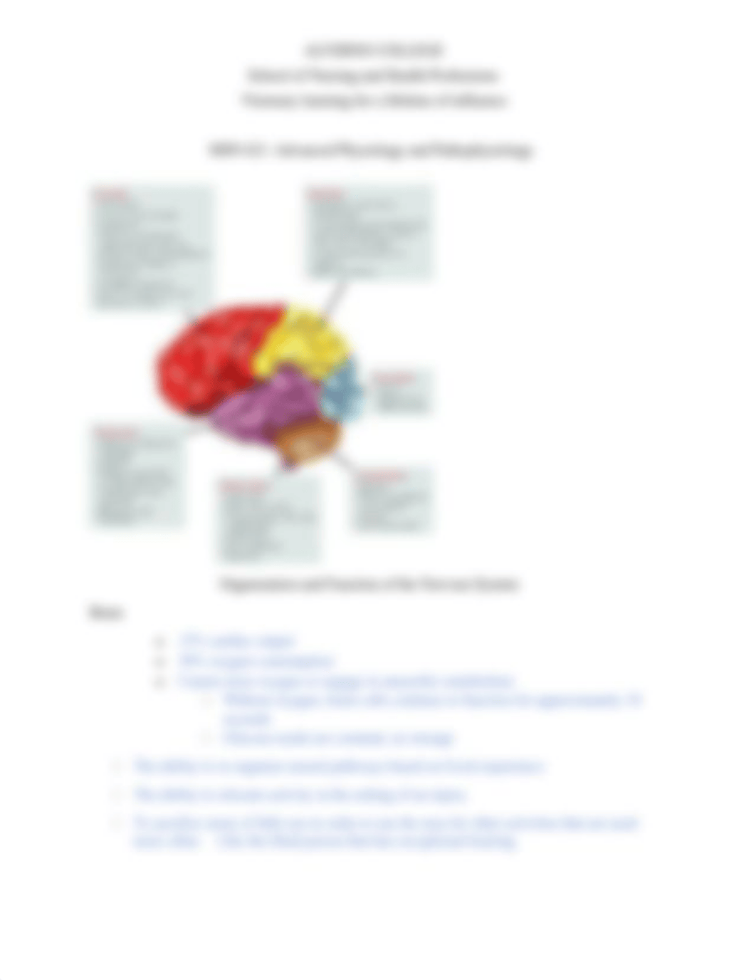 STUDY GUIDE Neuro.docx_dm3grvbpigu_page5