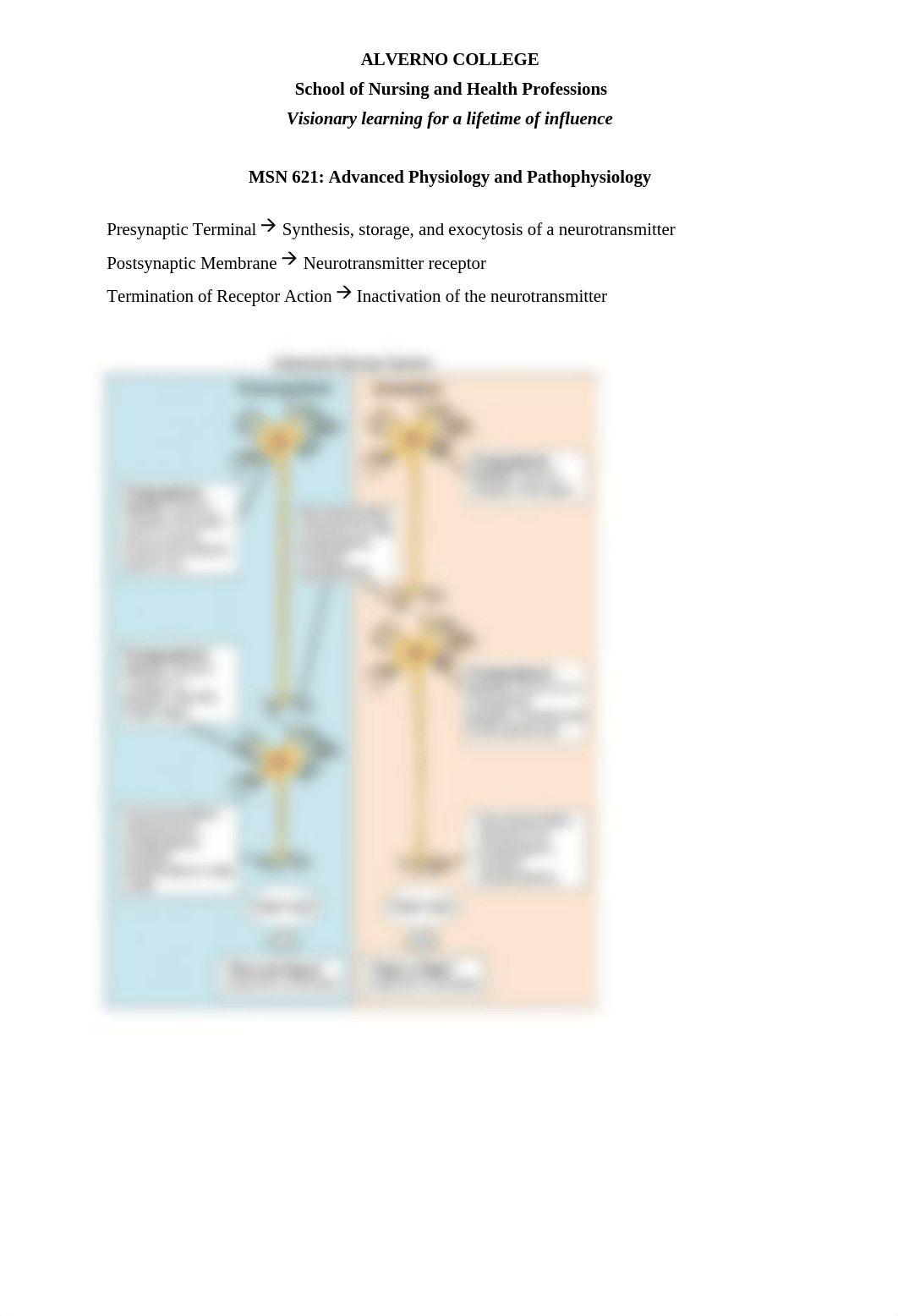 STUDY GUIDE Neuro.docx_dm3grvbpigu_page4