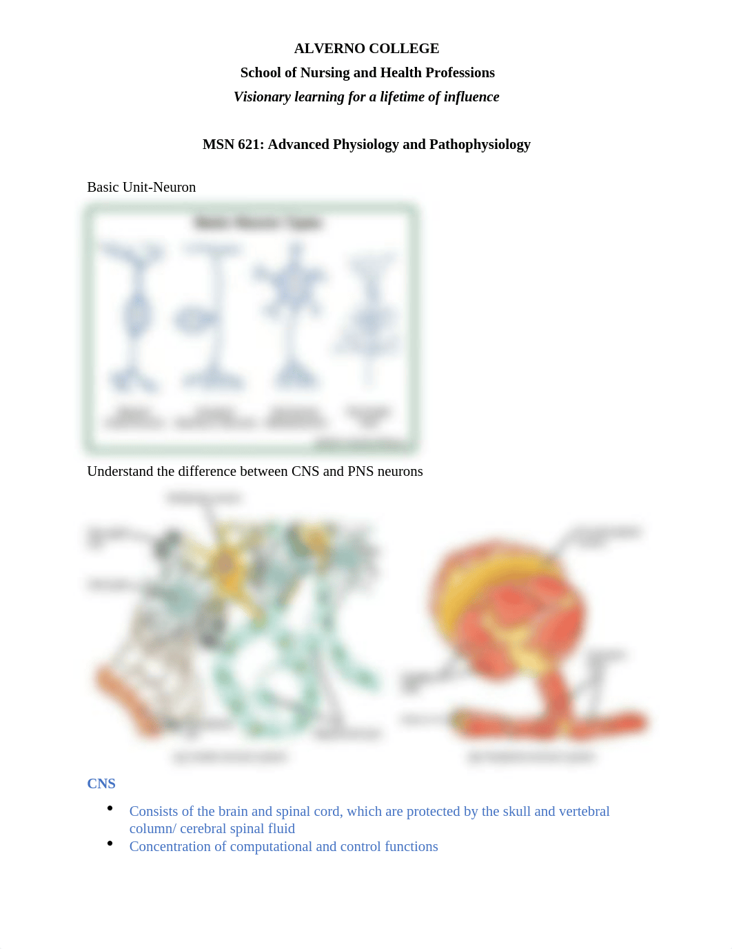 STUDY GUIDE Neuro.docx_dm3grvbpigu_page2