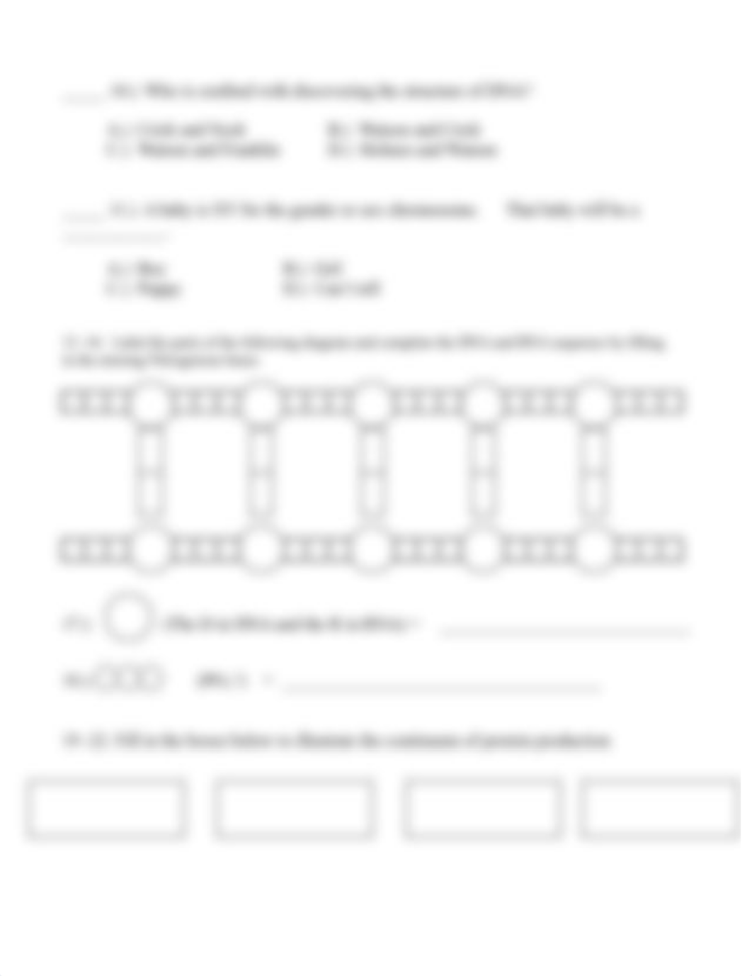 DNA Genes and Chromosome Quiz_dm3kejd0poy_page2