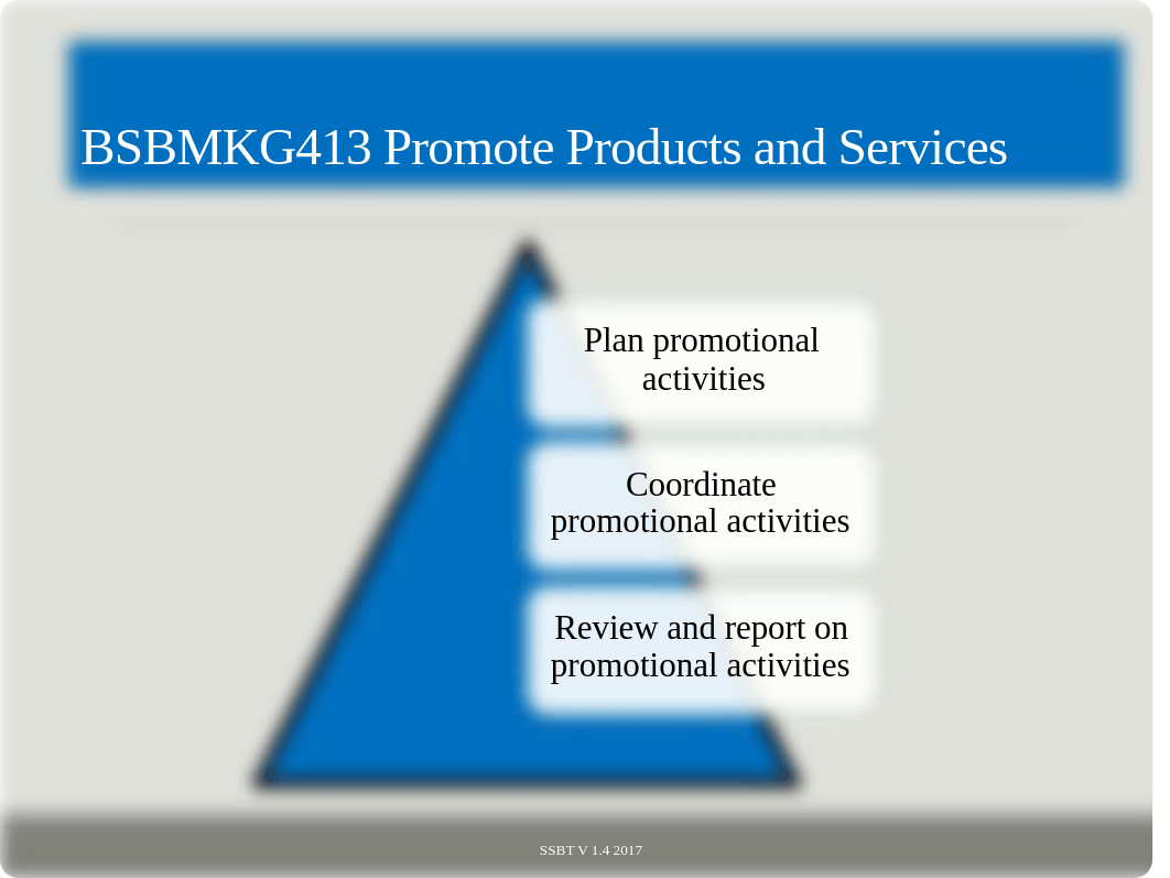 BSBMKG413 PowerPoint V1.4.pdf_dm3kujmq1eq_page2