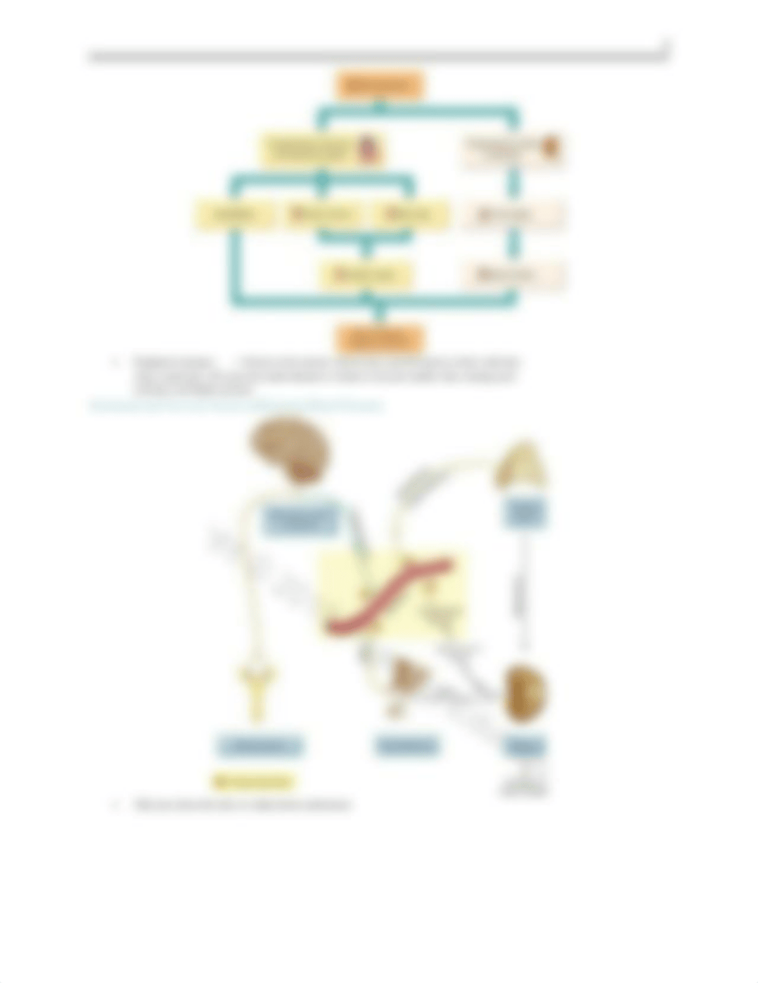 Exam 2 - Cardiac Drugs_dm3xhdkvui8_page3