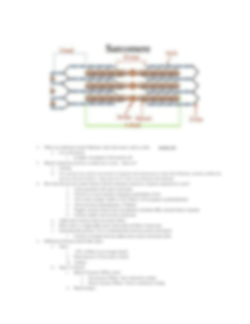 Exercise Physiology Final .pdf_dm3zdadxynw_page2