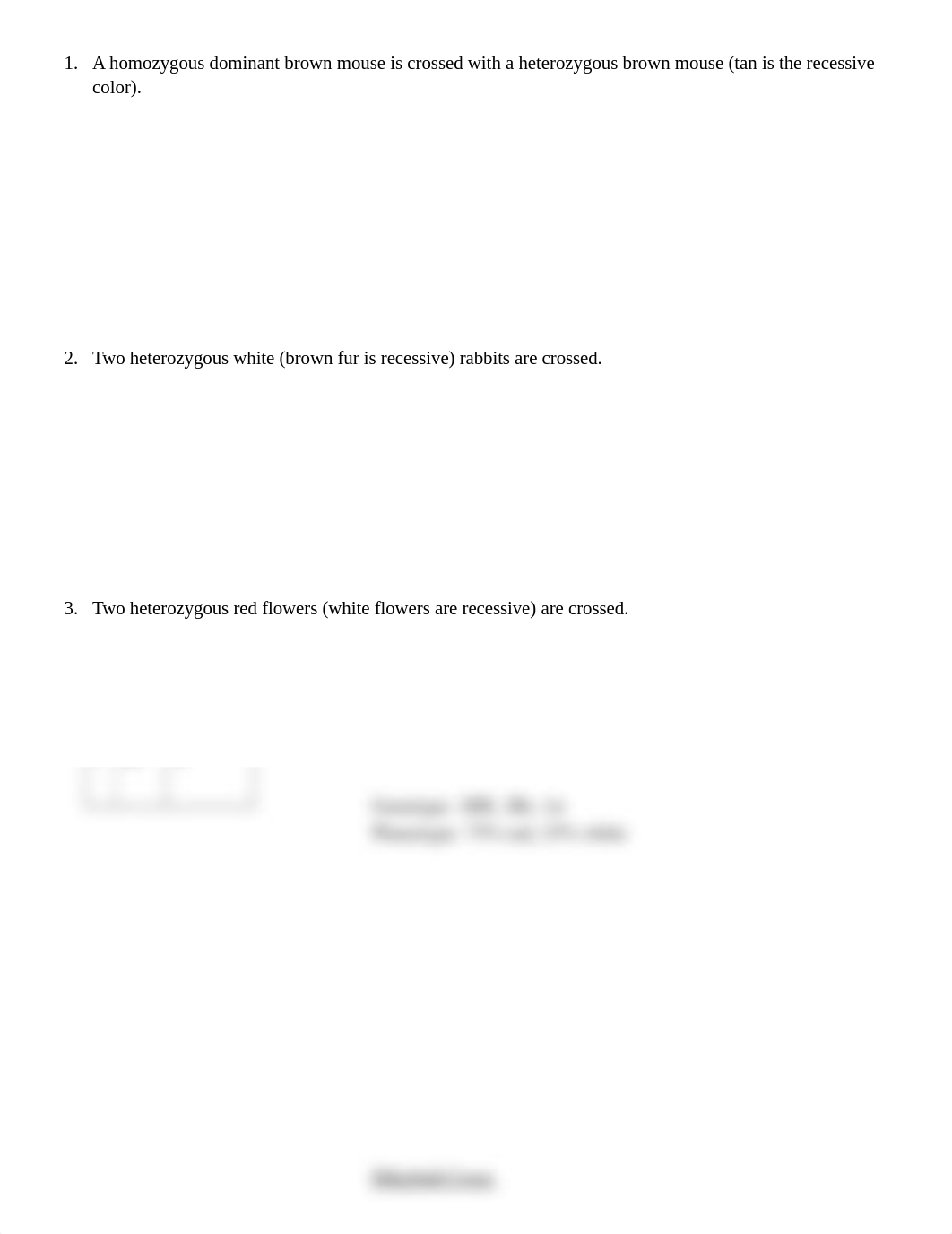 Punnett square worksheet.docx_dm3ze7o03pk_page2