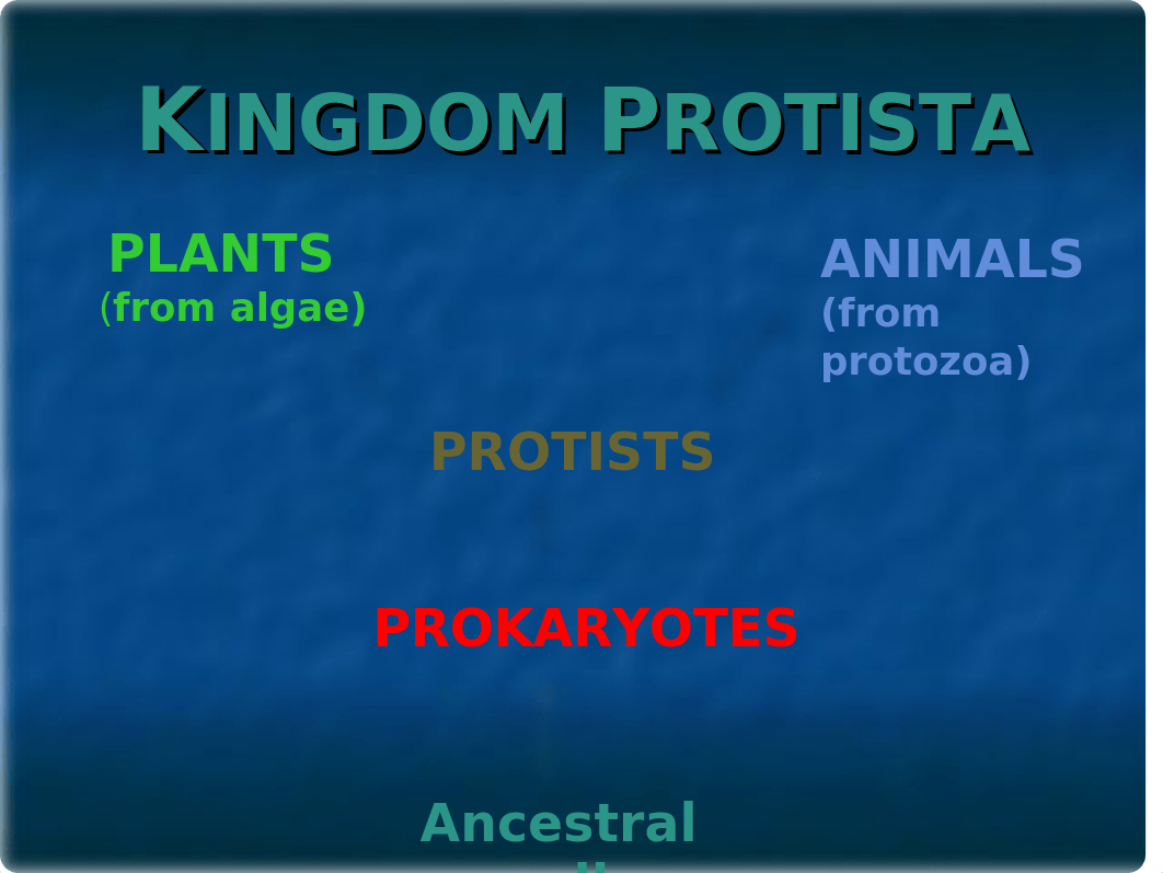 Prostista.ppt_dm42ea78yaw_page2