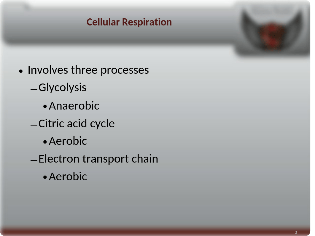 Sepsis Powerpoint.ppt_dm47jqq7jsp_page3