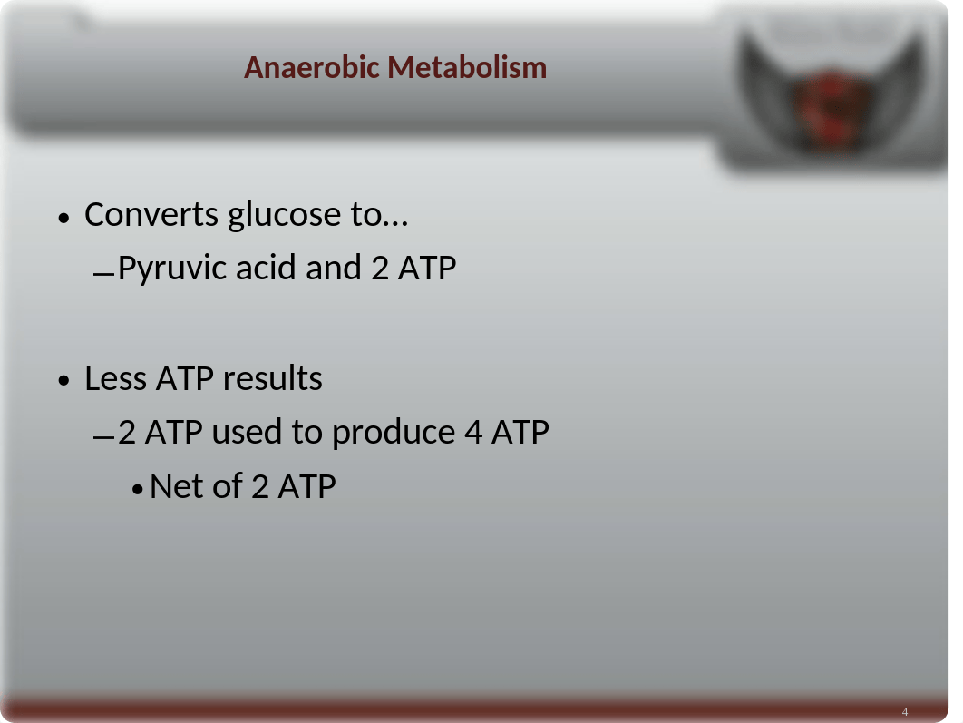 Sepsis Powerpoint.ppt_dm47jqq7jsp_page4