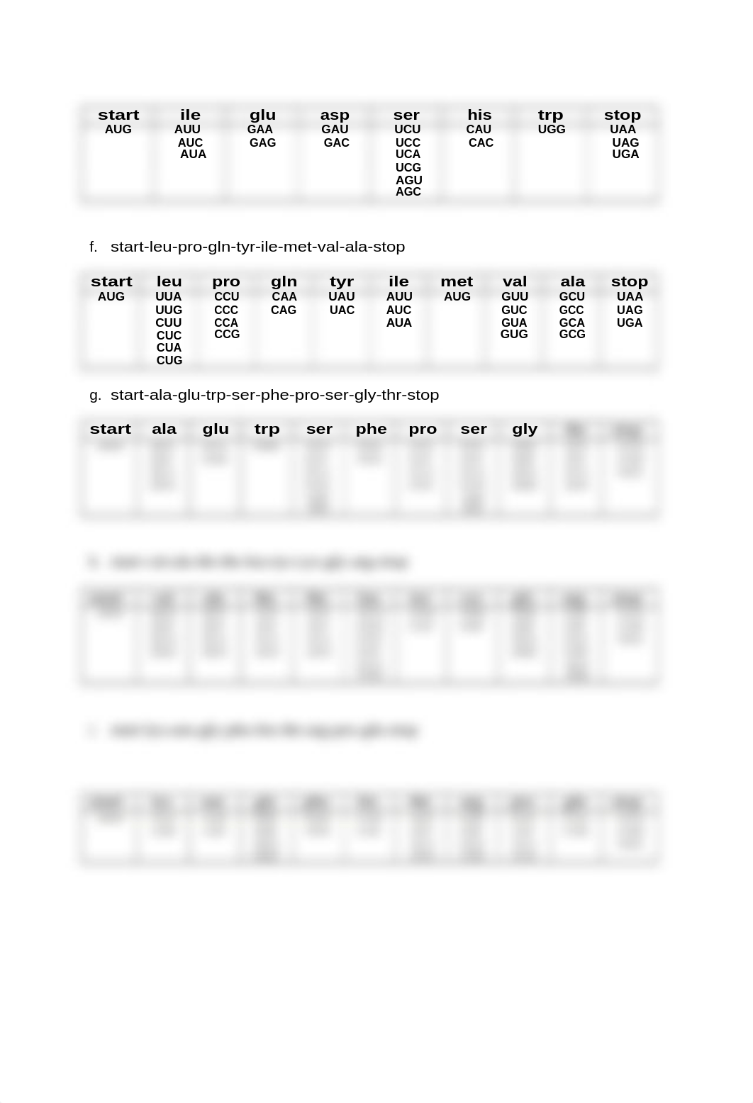 580213_DNA_Replication_RNA_Transcription_Protein_Synthesis_Dry_Lab_Answer_Sheet.docx_dm4e42j5pb5_page3