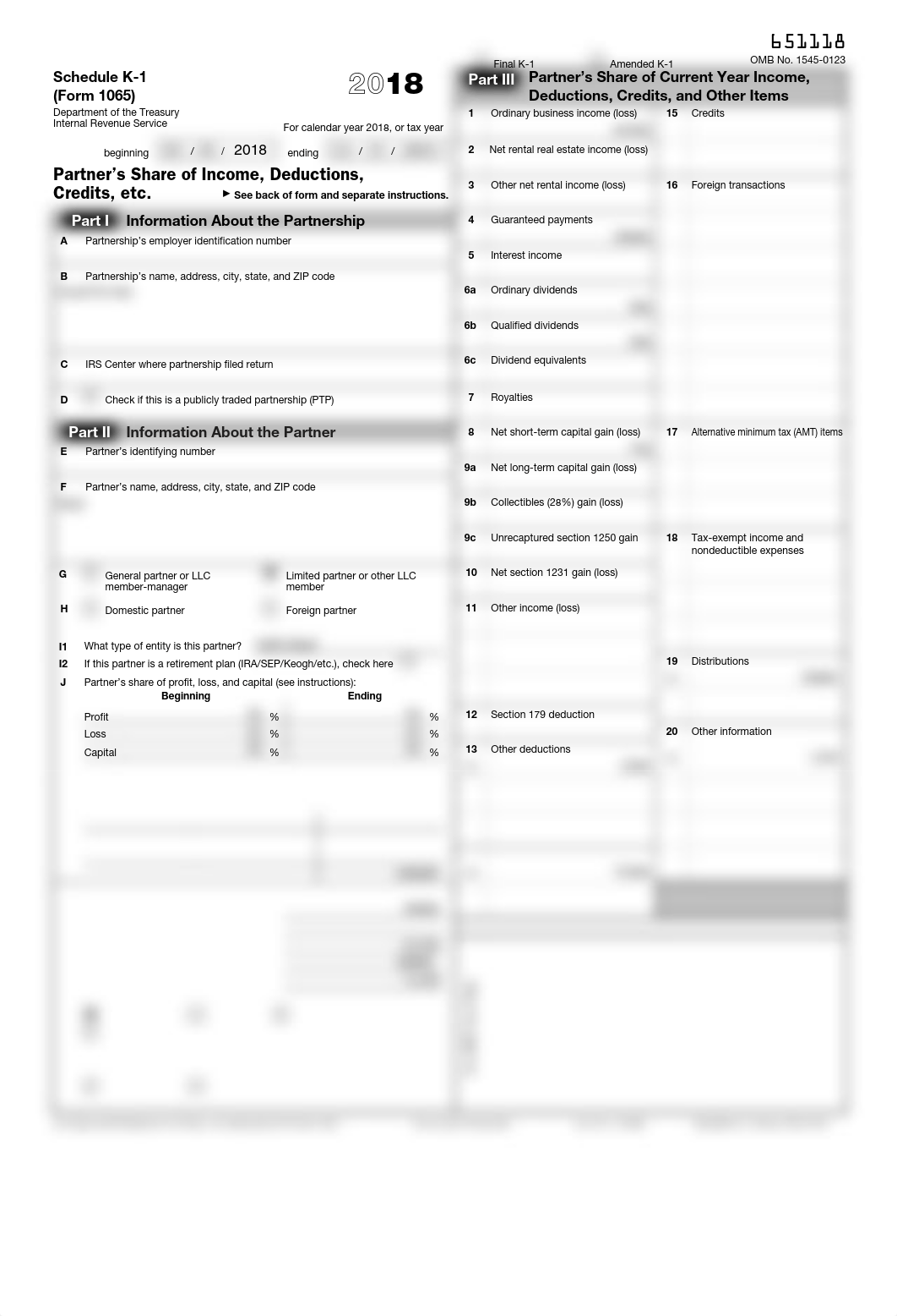 Q5 2018 Schedule K-1 (Form 1065).pdf_dm4gz91kobs_page1