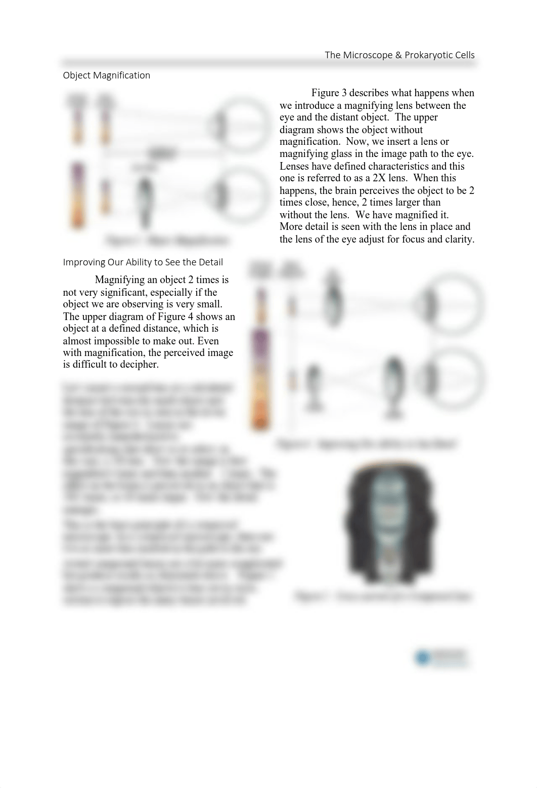 03s-The Microscope & Prokaryotic Diversity.pdf_dm4hvjh12ci_page2