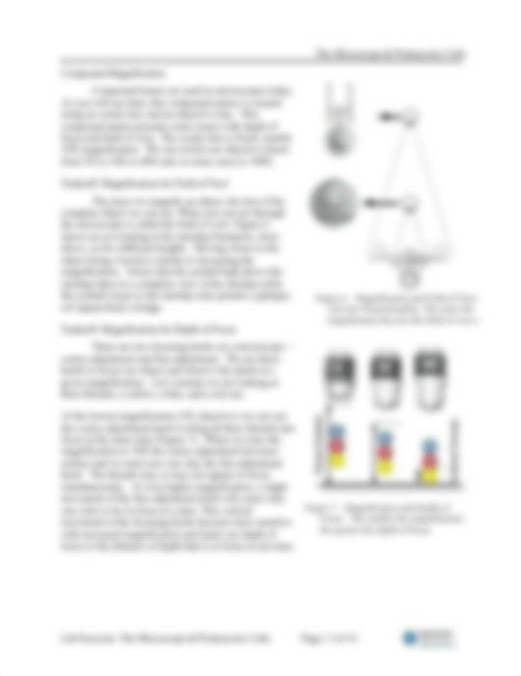 03s-The Microscope & Prokaryotic Diversity.pdf_dm4hvjh12ci_page3