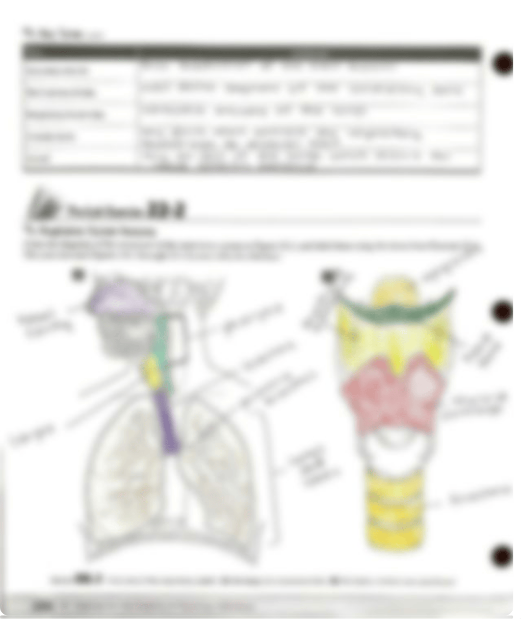 Chapter 22 pre lab .pdf_dm4j9x1b9f7_page2