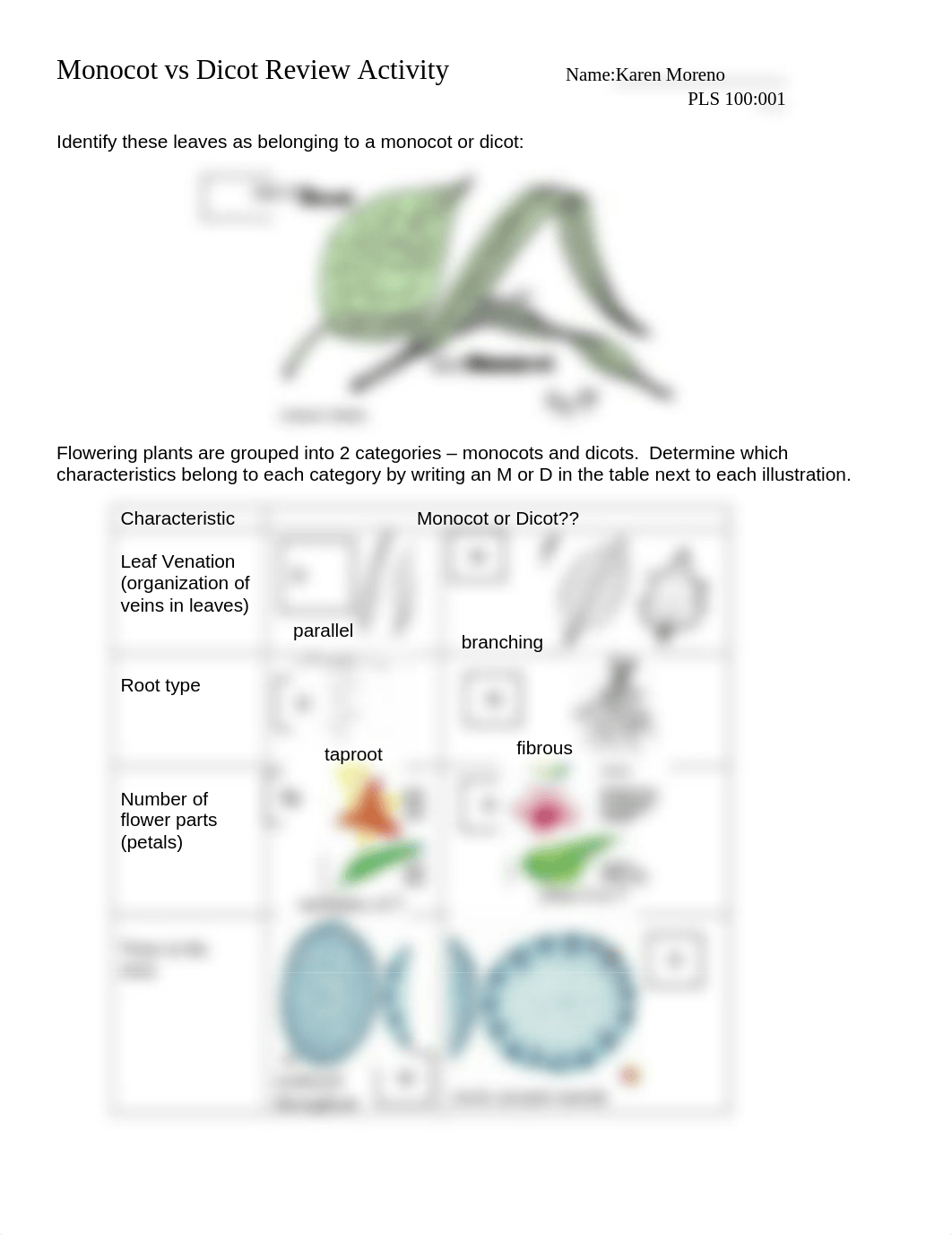 Seed Cells Prelab.docx_dm4lrw1afgm_page1