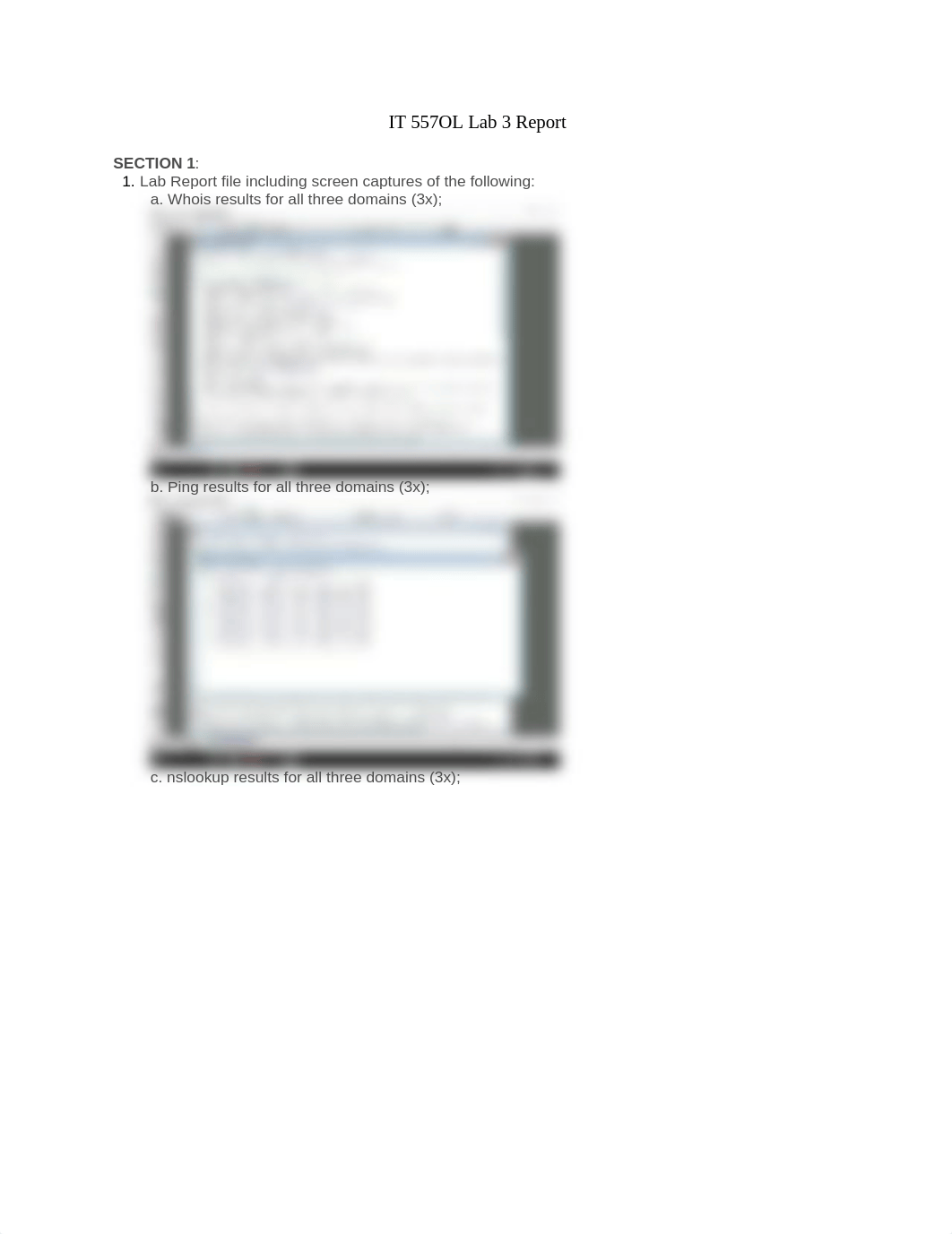 IT 557OL Lab 3 Report.docx_dm4pqwfsktv_page1
