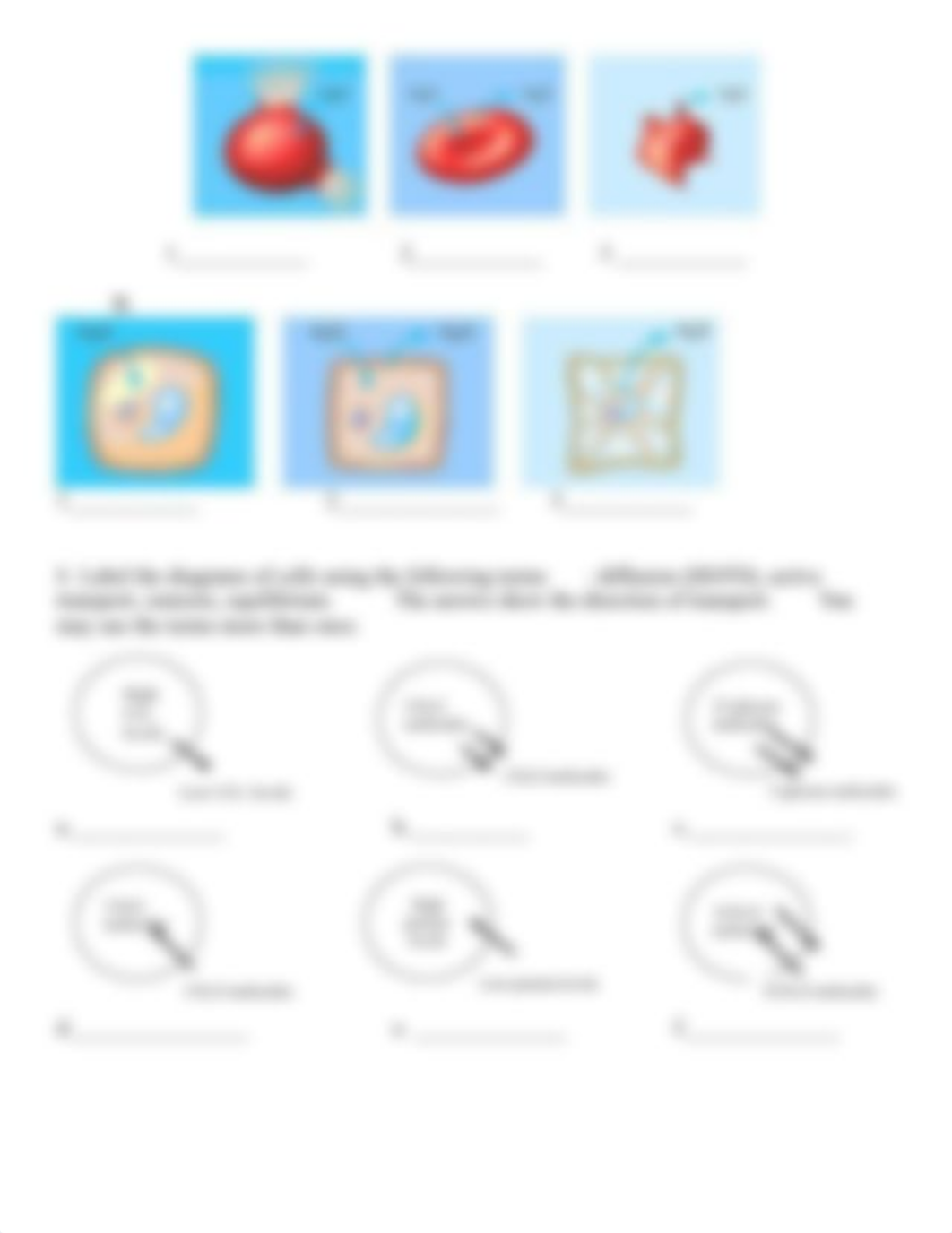 Rejbob Lico - Passive Transport Review & Tonicity 2020.doc_dm4rpepvawx_page2