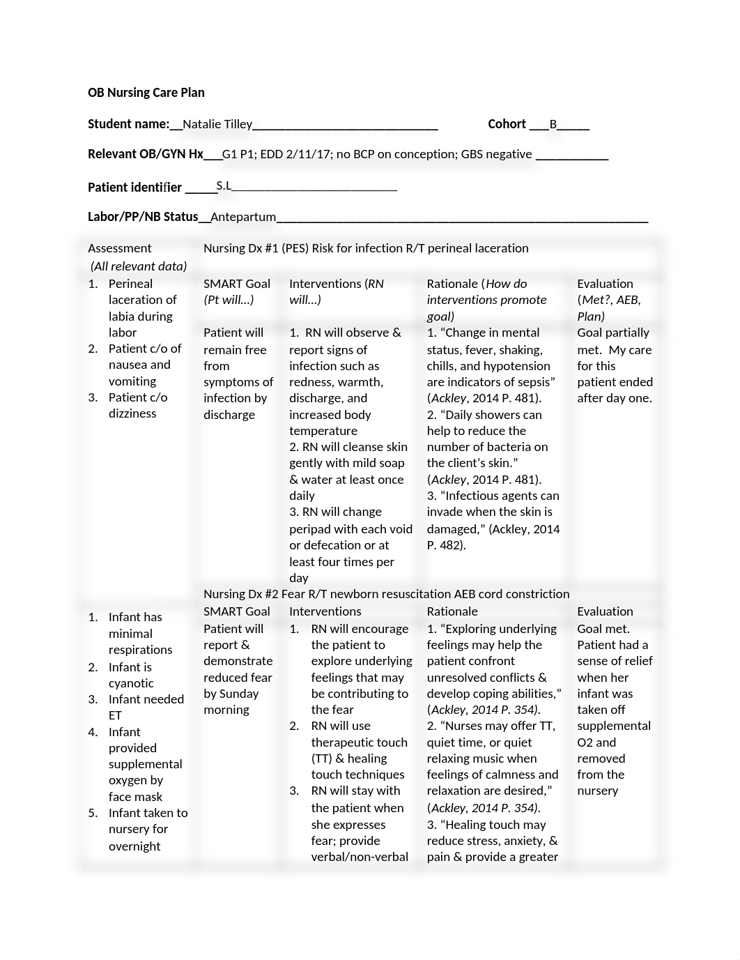 OB Nursing Care Plan_dm4xtwamp2p_page1