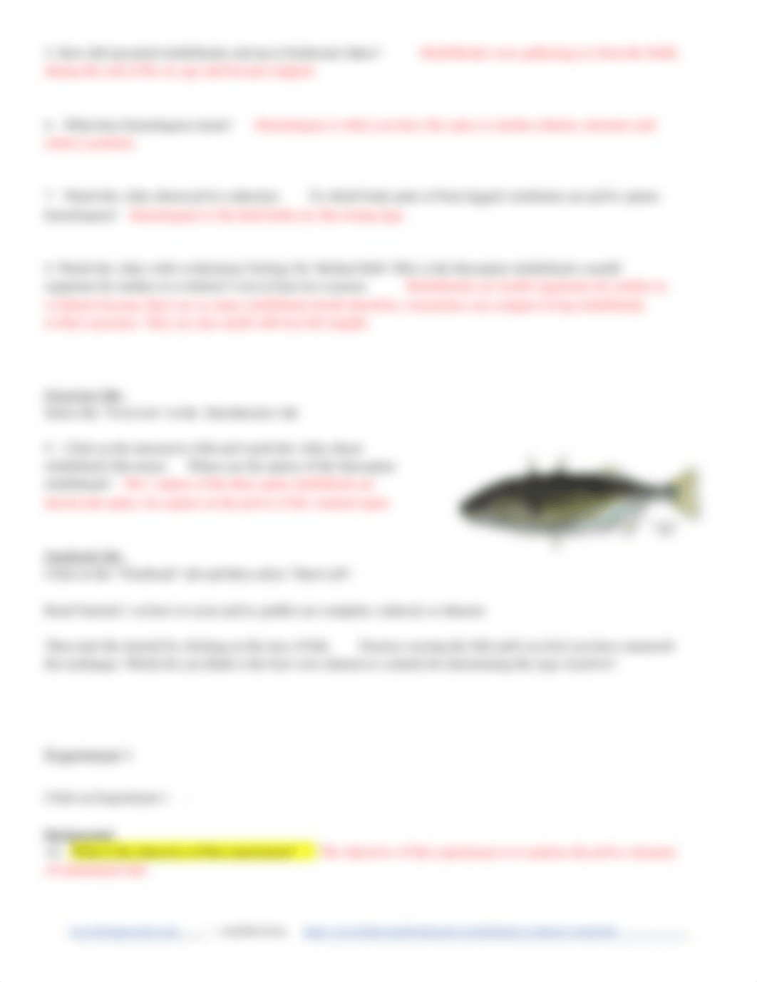 Evolution - The Stickleback Fish (7).docx_dm54y19mxzp_page2