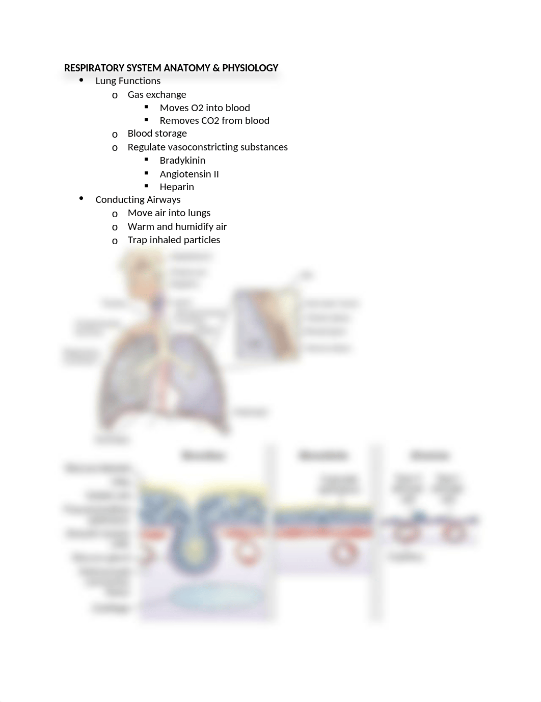 Exam 4 - Patho.docx_dm550ikfzsr_page1