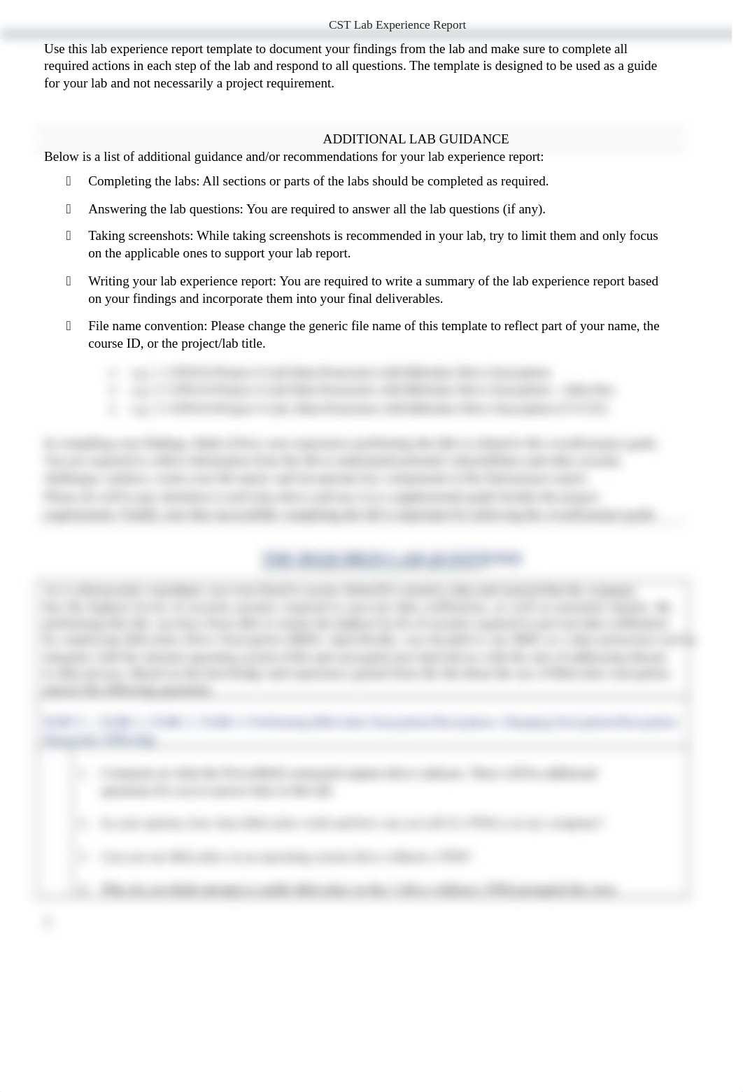 CST-DFC610-Project 4 Lab Experience Report Template(P4S2) (1).docx_dm55ojldcym_page2