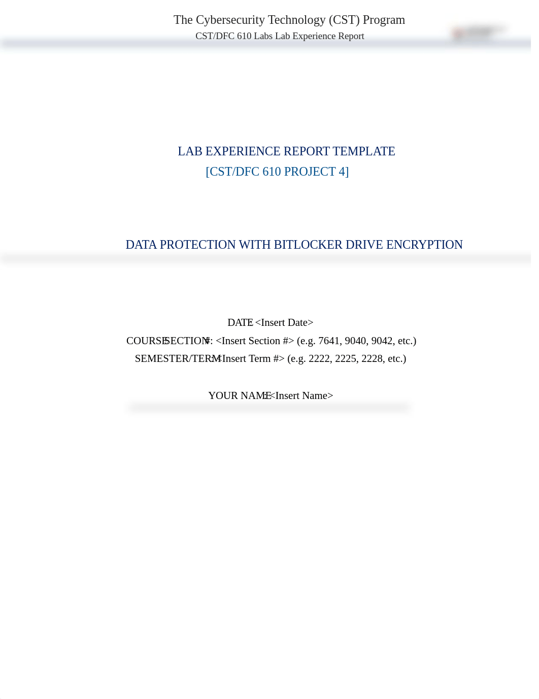 CST-DFC610-Project 4 Lab Experience Report Template(P4S2) (1).docx_dm55ojldcym_page1