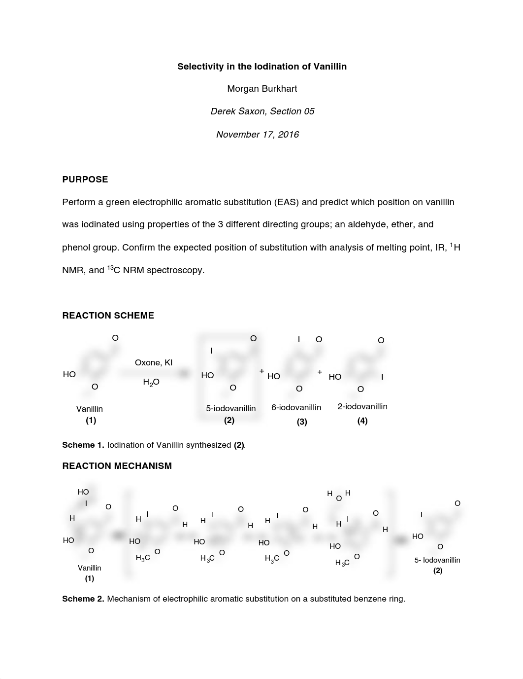 VANILLIN REPORT GOOD (Autosaved).pdf_dm55xyjrzjv_page1