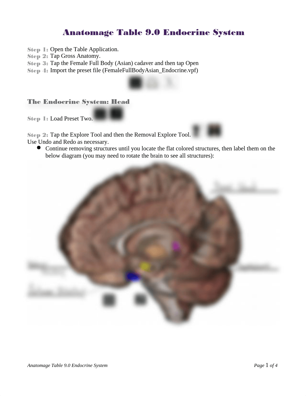 Endocrine System (Lab 6).pdf_dm5618j99wb_page1