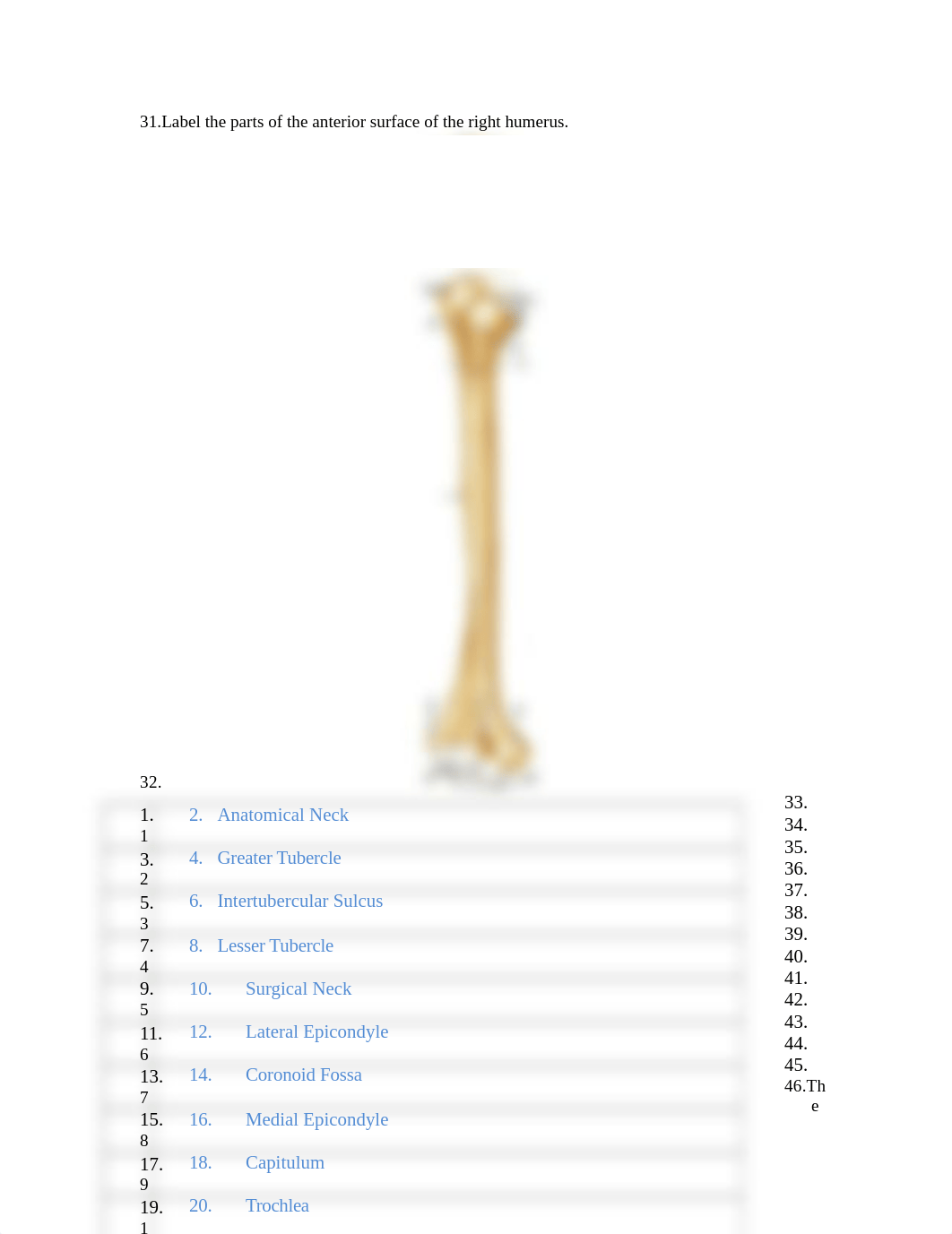 Musculoskeletal System Lab Report Activity 4 (1).docx_dm59va3dn34_page3