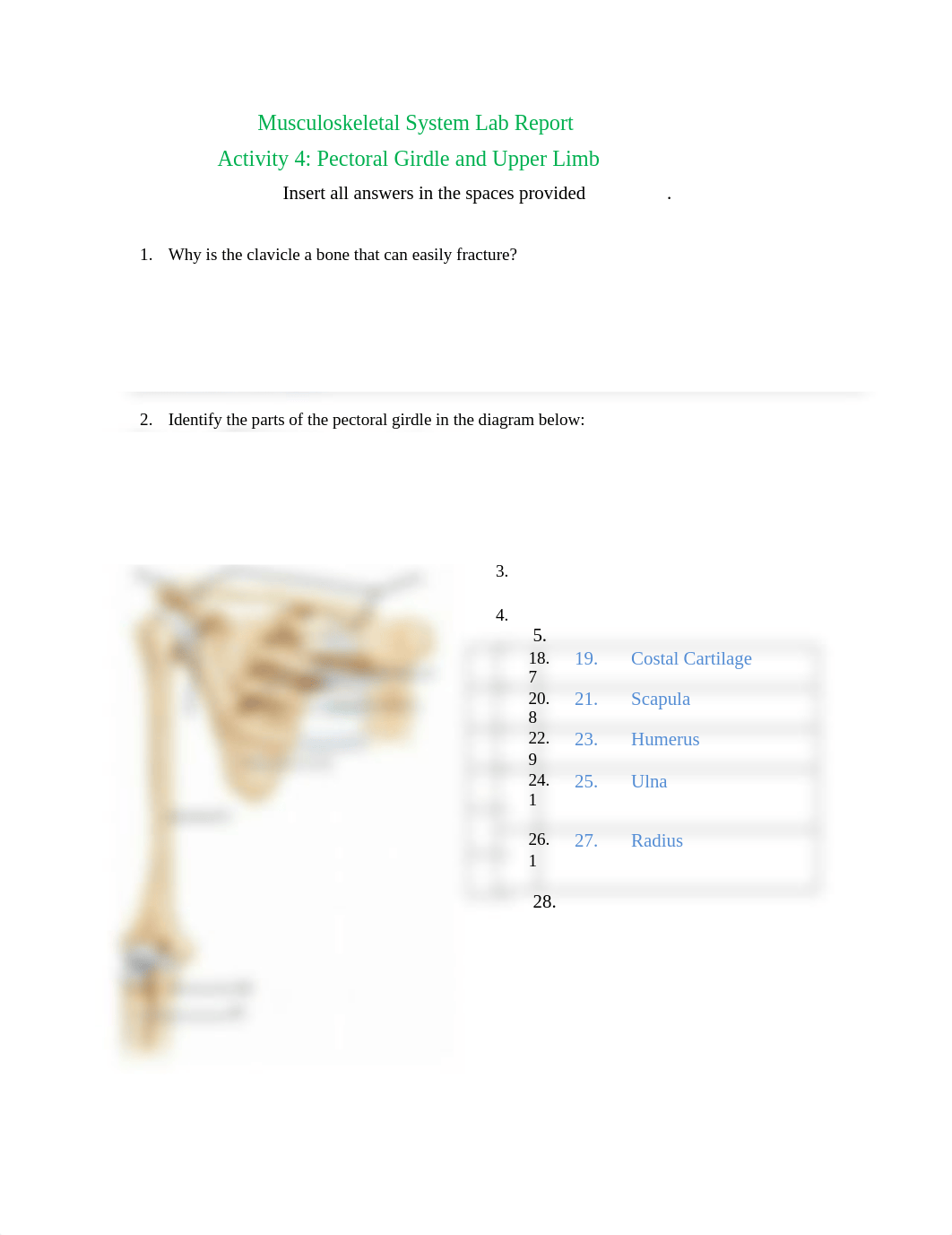 Musculoskeletal System Lab Report Activity 4 (1).docx_dm59va3dn34_page1