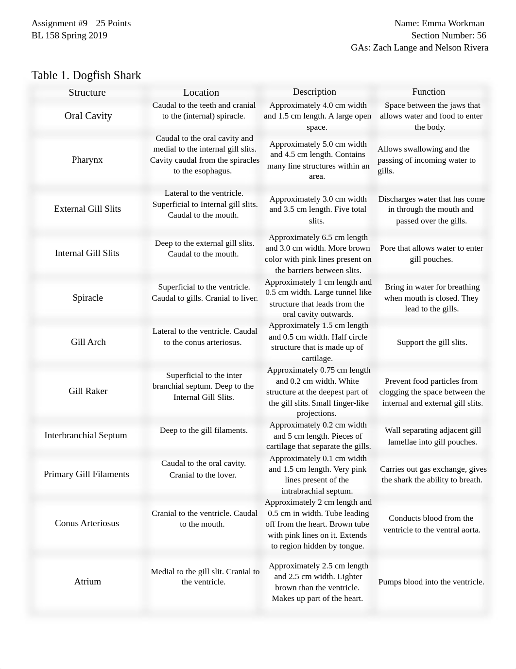 Assignment 9 - dissection_dm5bgx8ropp_page1