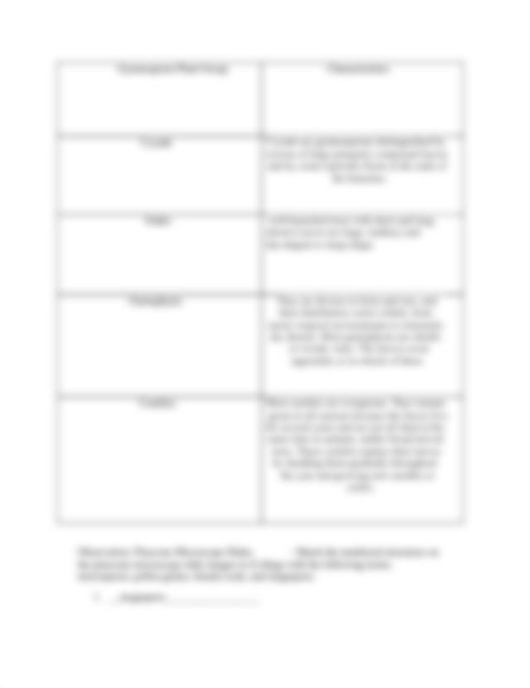 Seeded Plants Activity Worksheet.pdf_dm5bvmkbiv5_page2