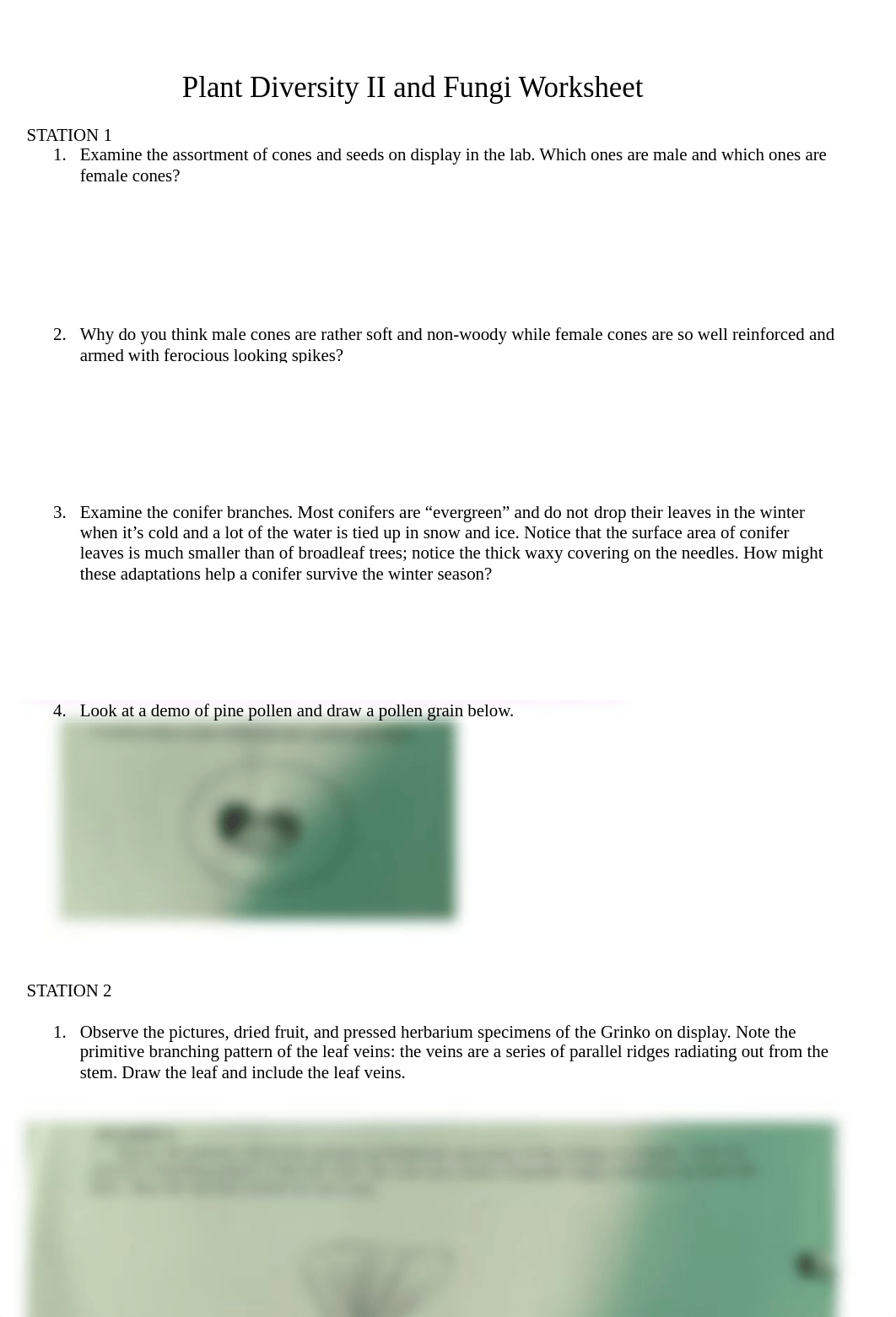 Plant Diversity 2 and Fungi Worksheet.pdf_dm5c449dl16_page1