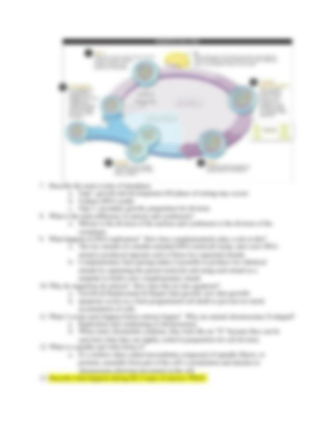 Chapter 6.1 - 6.8 Guided Reading Questions_dm5cgrovhce_page2