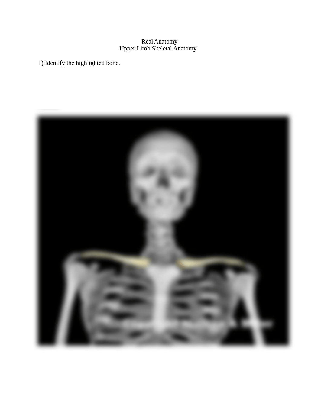 Upper Limb ID worksheet.docx_dm5fag10csw_page1